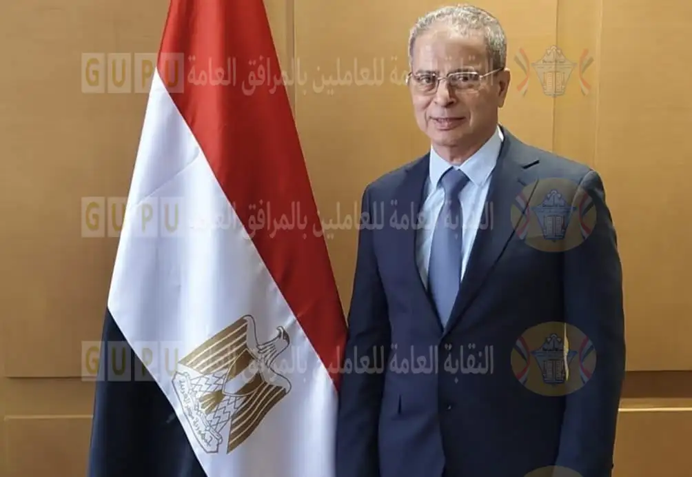 رئيس القابضة لكهرباء مصر