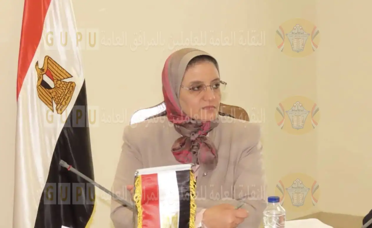 رئيس المصرية لنقل الكهرباء تُصدر قراراً بتعيين 