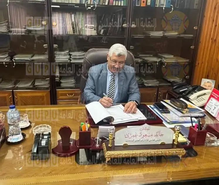 شركة جنوب الدلتا لتوزيع الكهرباء