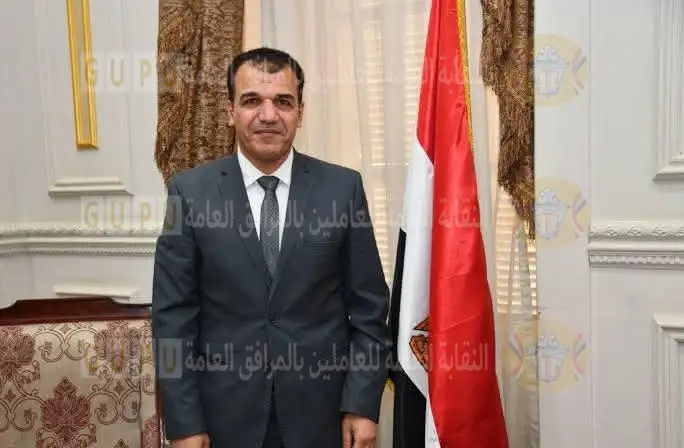 شمال الدلتا لتوزيع الكهرباء