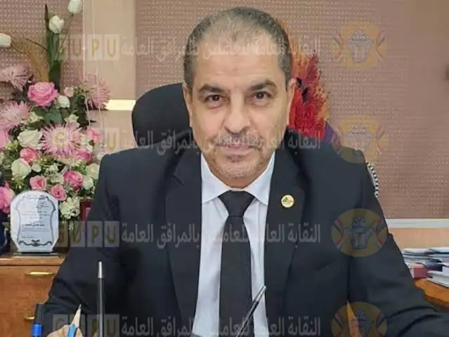 مصر الوسطى لتوزيع الكهرباء