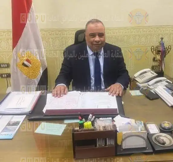 جنوب القاهرة لتوزيع الكهرباء