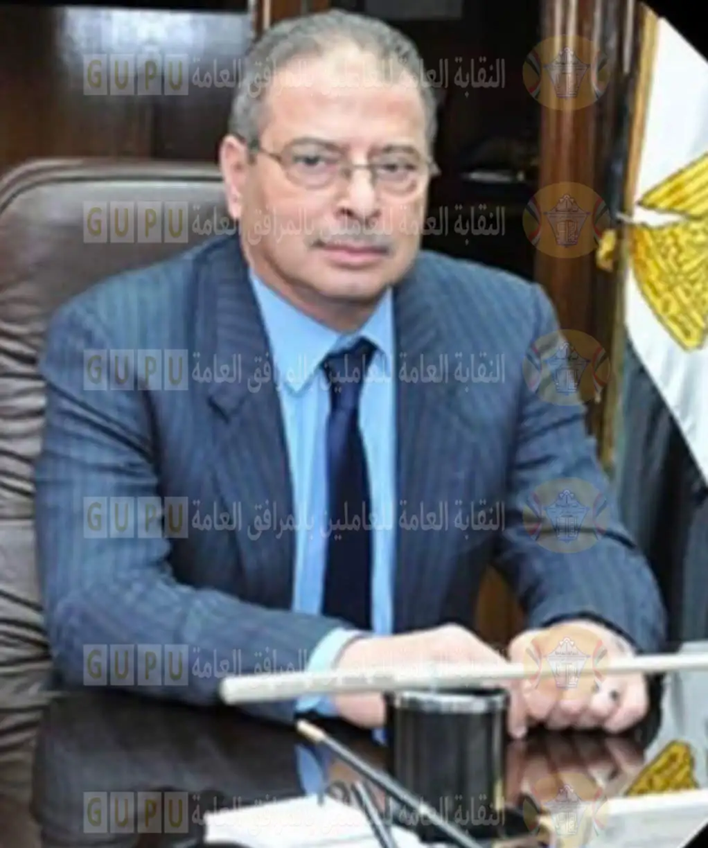القابضة لكهرباء مصر